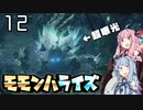 笛で行くモモンハライズPart12