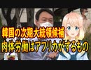 【韓国の反応】韓国の次期大統領候補さん「肉体労働はアフリカがするものだ」と発言しちゃう【世界の〇〇にゅーす】