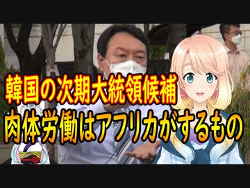 【韓国の反応】韓国の次期大統領候補さん「肉体労働はアフリカがするものだ」と発言しちゃう【世界の〇〇にゅーす】