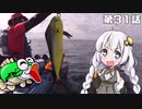 【VOICEROIDフィッシング】あかりちゃんと行くカヤックフィッシング第31話