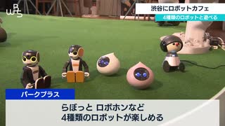 渋谷にロボットカフェ　４種類のロボットと遊べる