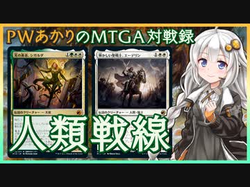 『セレズニア・ヒューマン』PWあかりのアリーナ対戦録MID#01【MTGA】