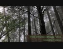 【民族音楽風？】Wind Blowing Through Forest【ファンタジー風インスト】