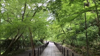 『岸田文雄氏「森友・桜を見る会」は国民に寄り添う判断◇高市早苗さん「推薦人目処」も改造を見て判断』第513回【水間条項TV】不採用分