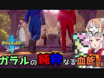 【ポケモン剣盾】そら×ついの色違いガラル旅～ガラルの純粋なる血族（笑）～part29