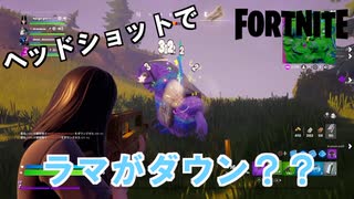 【FORTNITE】一回のマッチでラマが2匹！！たまにあるラッキーラマ２連続！！連続投稿1日目【チャプター２シーズン8】【＃２】【実況】