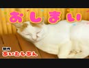 究極の癒し猫ゲーに心を癒してもらおうと思います【つぐのひ-ねこのひ怪奇譚- 隠し要素】【実況】