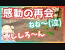 (リスナーの見ていない)3時間の冒険の後、感動の再会を果たす桃鈴ねねと獅白ぼたん【ホロライブ切り抜き】