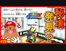 険しい絶壁を駆け抜けた先に現れた隠れた名所…でもまあ別に知らなくてもよかったかな？【スーパーマリオギャラクシー2＃29】