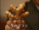 2010年　ウコンの力　「今夜は行くか・生のウコン」篇