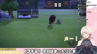 【あつ森】蚊を捕まえようとしてカラス状態になってしまう七星みりり【どっとライブ】