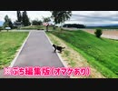 2021/09/09放送★ぷち編集版【160日目 北海道 美瑛 日中 あずにゃんぽ（猫散歩）】北海道全市町村制覇するまで帰れまてん！　猫と車中泊の旅　日本縦断【旅猫あずき～保護猫から旅猫へ～】