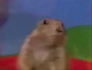 プレイリードッグ（ボンバーマン）
