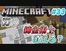 【Minecraft】初心者と一緒にのんびりマイクラ生活#33【女性２人実況】