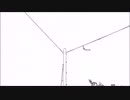 M.SEINO / Main Title (Instrumental)