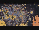 Tokyo Bay fireworks
