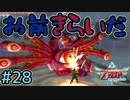ムカデやら寄生虫やら虫が多くて泣きたくなる詩島【ゼルダの伝説スカイウォードソードHD】#28