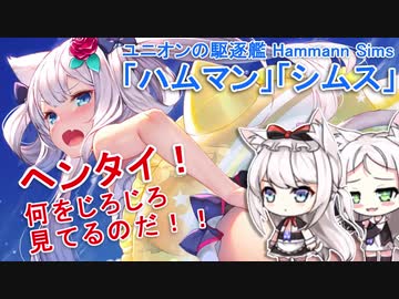 『エセックスと学ぶハムマンのハムマンをハムマンしたい』【シムス級編】【アズレンキャラ解説】