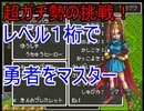 【SFC】敵を消しまくって、レベル〇で勇者をマスターしてみた　【DQ6】【ドラクエ6】【ドラゴンクエスト６】【ゆっくり実況】