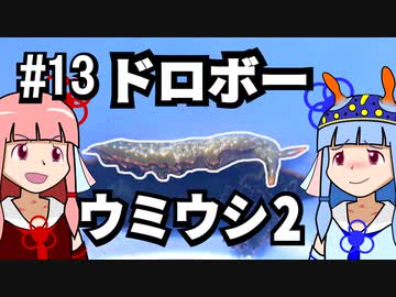 【琴葉姉妹の磯遊び】#13ドロボーウミウシ2【VOICEROID解説】