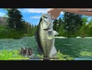 [REELFISHING:RoadTripAdventure]　釣り好き三人の夏休み　初見　口ベタ実況　18