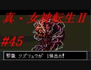 【ゆっくり実況】 真・女神転生Ⅱ #45（SFC版）