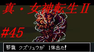 【ゆっくり実況】 真・女神転生Ⅱ #45（SFC版）
