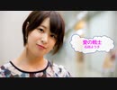 [歌える音源]　愛の戦士　/　石田よう子　石田燿子　美少女戦士セーラームーン　（歌詞：あり /　ガイドメロディーなし　karaoke アニソン)