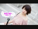 [歌える音源]　集結の園へ　/　林原めぐみ　新世紀エヴァンゲリオン　（歌詞：あり /　ガイドメロディーなし　karaoke　アニソン)