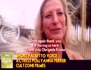Falsetto Voice TeaserTrailer Bad Romance