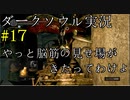 【DARK SOULS REMASTERED】話を聞かない男のダークソウル初見実況プレイ　＃17
