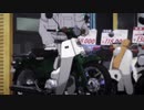 その子熊凶暴につき