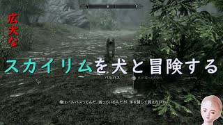 犬と駄犬と従者と私