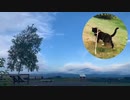 2021/09/12放送【163日目 北海道 美瑛 早朝 あずにゃんぽ（猫散歩）】北海道全市町村制覇するまで帰れまてん！　猫と車中泊の旅　日本縦断【旅猫あずき～保護猫から旅猫へ～】