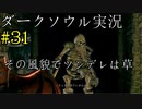 【DARK SOULS REMASTERED】話を聞かない男のダークソウル初見実況プレイ　＃31