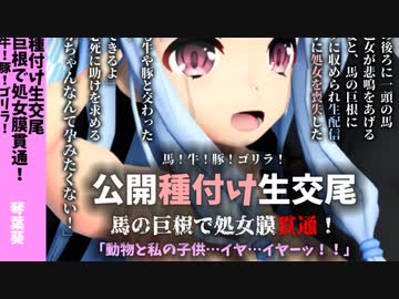 公開種付け生交尾 馬の巨根で処女膜貫通！【ボイえろ】