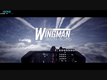 Project Wingman RTA (Speedrun) NG+ 2:20:18.62 (参考記録)