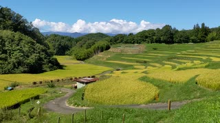 [旅行][棚05秋] 飯田市よこね田んぼ