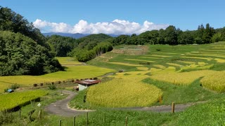 [旅行][棚05秋] 飯田市よこね田んぼ