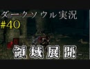 【DARK SOULS REMASTERED】話を聞かない男のダークソウル初見実況プレイ　＃40