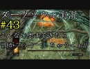 【DARK SOULS REMASTERED】話を聞かない男のダークソウル初見実況プレイ　＃43