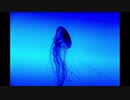 end all FIN – 死んでも晴れない