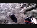 09.19 【魚釣り】おじさんの休日.