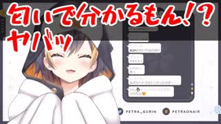 【Petra Gurin/ペトラ】ヤンデレ妹ペンギン【にじさんじEN】