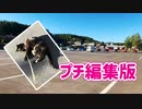 2021/09/15放送★プチ編集版【166日目 北海道 富良野 夕方 あずにゃんぽ（猫散歩）】北海道全市町村制覇するまで帰れまてん！　猫と車中泊の旅　日本縦断【旅猫あずき～保護猫から旅猫へ～】