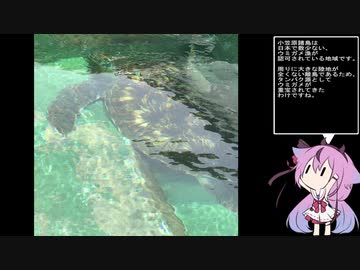 珍食材を語りたい！#2　小笠原諸島編