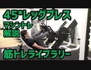 【筋トレライブラリー】45度レッグプレス【マシントレ、脚トレ】