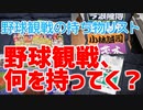 【忘れ物防止】野球観戦必需品・お役立ちグッズを紹介！【必見】