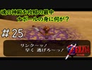 今日初対面の人間に対してこれはかっこよすぎる「ゼルダの伝説時のオカリナ」#25