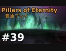 【ゆっくり実況】Pillars of Eternity 普通プレイ39